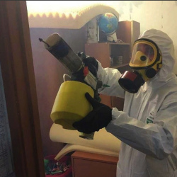 Уничтожение клопов в квартире. Мякинино